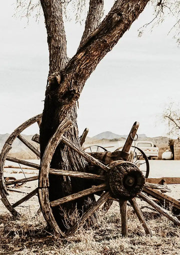 dibond,ingelijst,canvas,poster