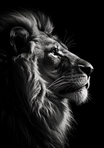 dibond,ingelijst,canvas,poster