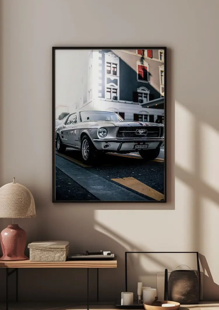 ingelijst,poster ingelijst,poster