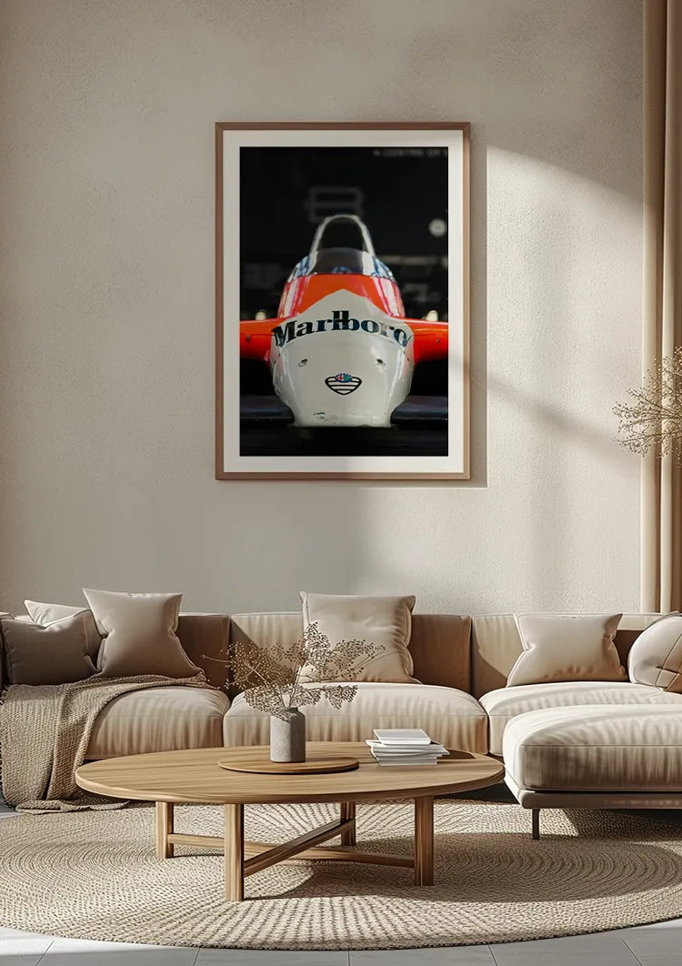 ingelijst,poster ingelijst,poster