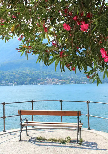 dibond,ingelijst,canvas,poster