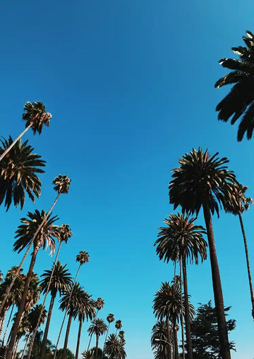 dibond,ingelijst,canvas,poster