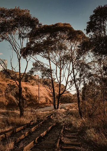 dibond,ingelijst,canvas,poster