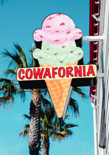 dibond,ingelijst,canvas,poster