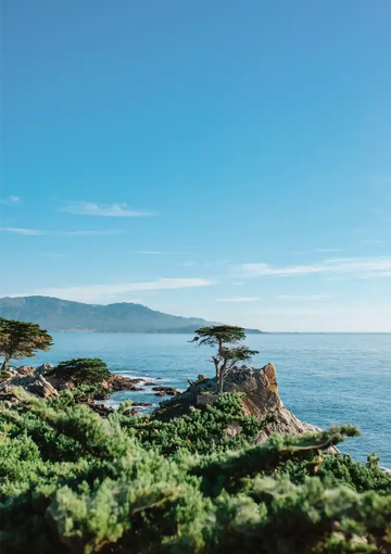 dibond,ingelijst,canvas,poster