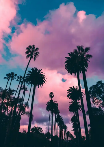 dibond,ingelijst,canvas,poster