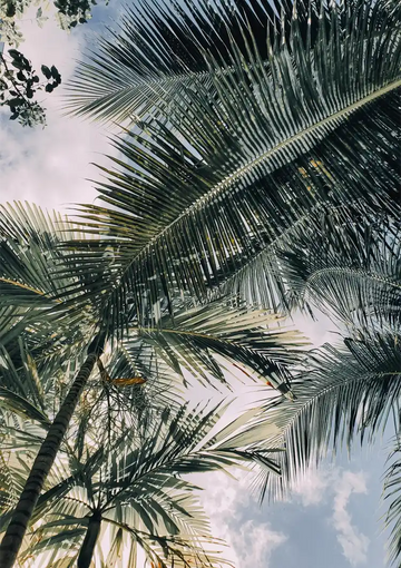 dibond,ingelijst,canvas,poster