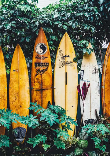 dibond,ingelijst,canvas,poster