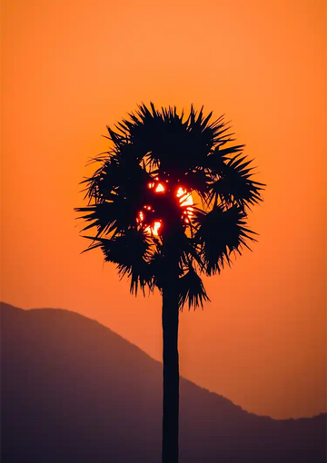 dibond,ingelijst,canvas,poster