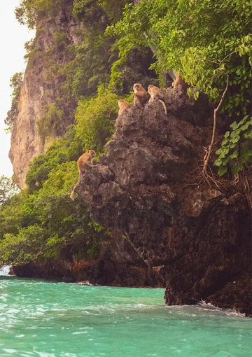 dibond,ingelijst,canvas,poster