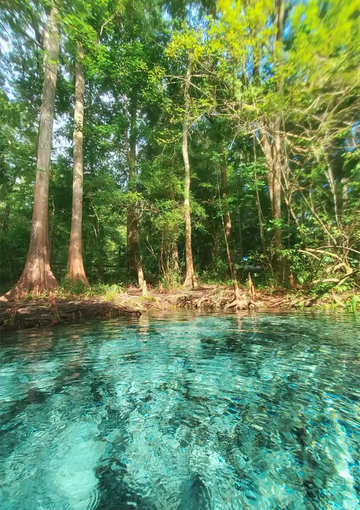 dibond,ingelijst,canvas,poster