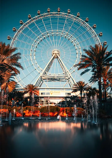 dibond,ingelijst,canvas,poster