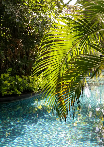 dibond,ingelijst,canvas,poster