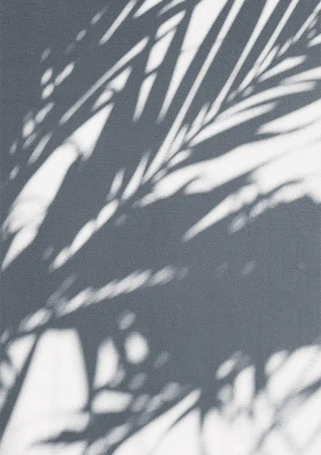 dibond,ingelijst,canvas,poster