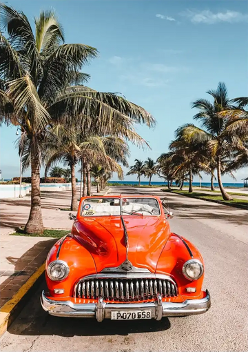 dibond,ingelijst,canvas,poster