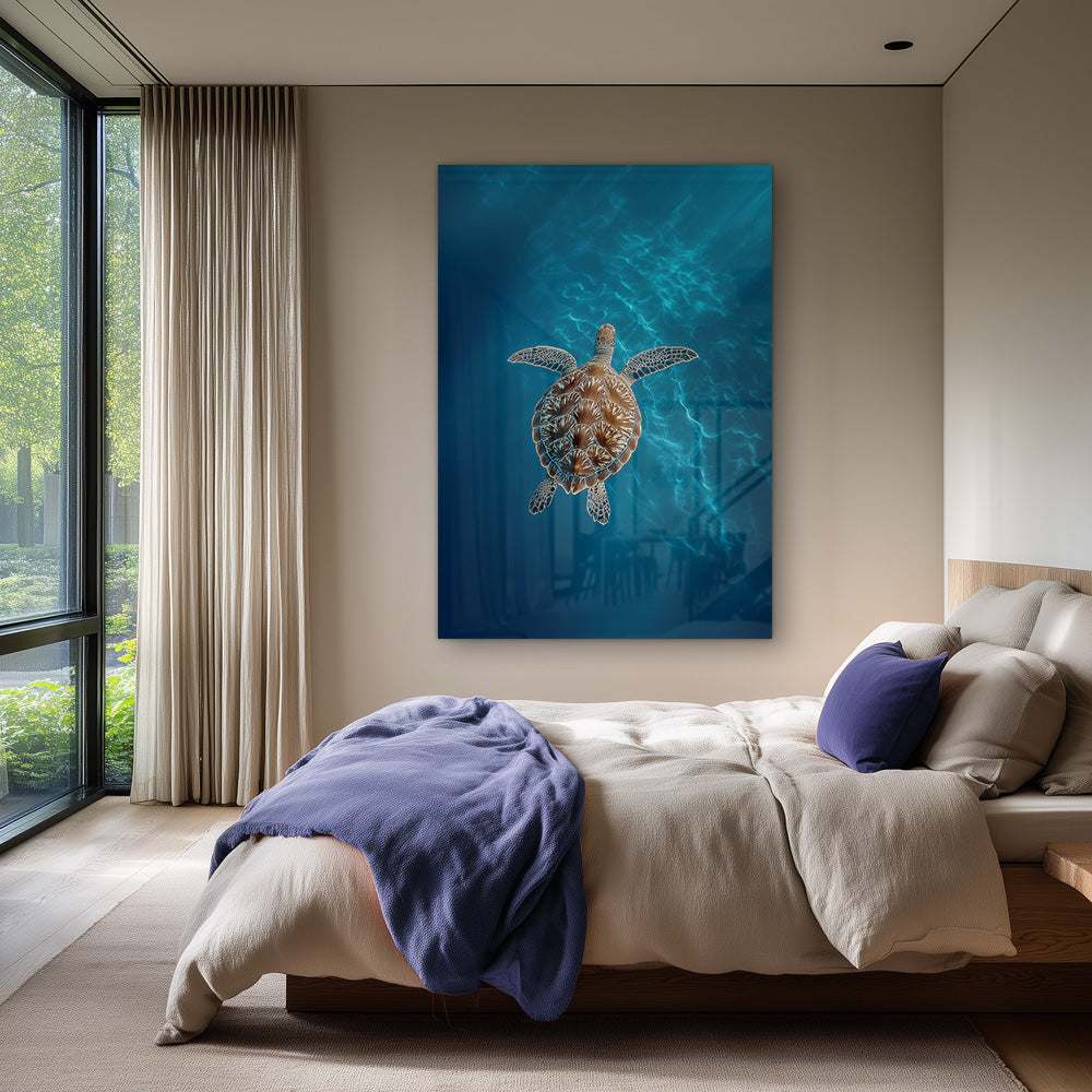 plexiglas,dibond,ingelijst,canvas,poster plexiglas,dibond,ingelijst,canvas,poster