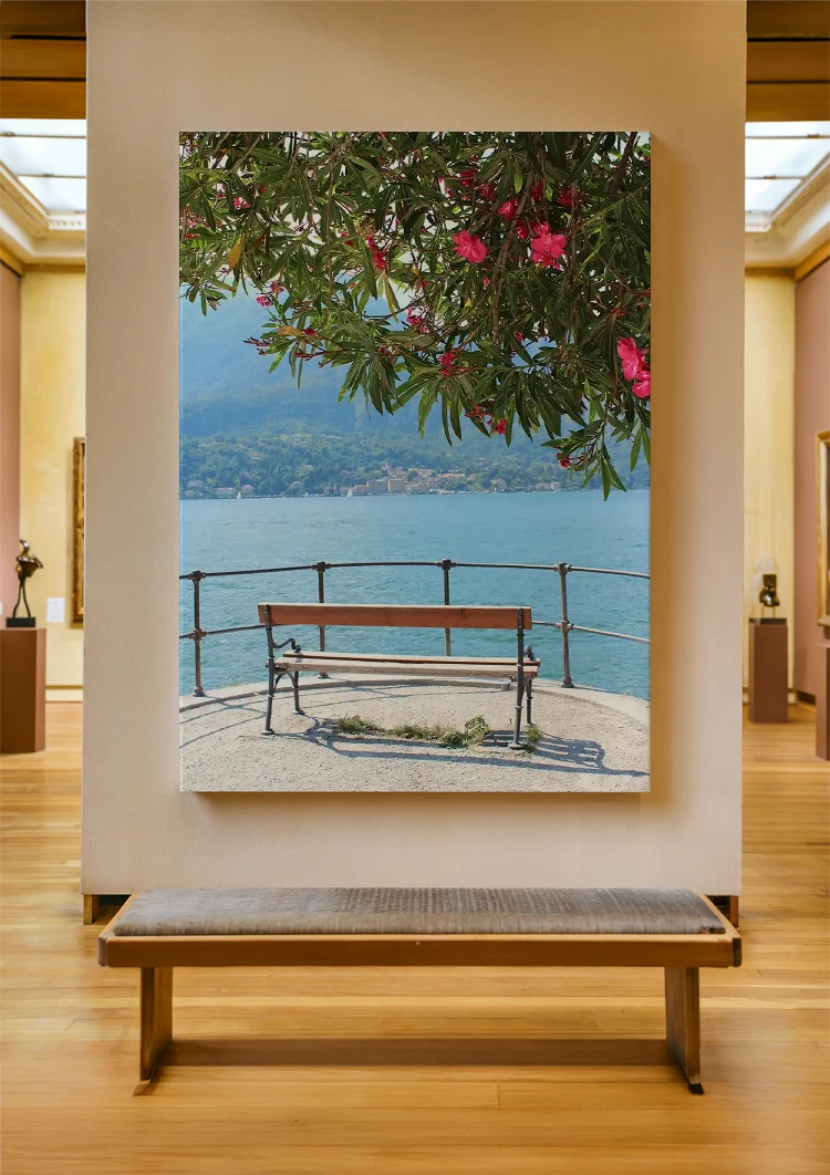 canvas canvas