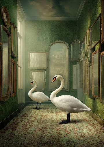 plexiglas,dibond,ingelijst,canvas,poster,acousticpro,muurcirkel,tuinposter