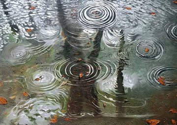 Stille Vloed Schilderij