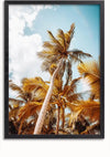 Een Onderaanzicht Prachtige Palmbomen Schilderij van hoge kokospalmen met gouden bladeren tegen een helderblauwe lucht met verspreide wolken. Deze wandkunst van CollageDepot is omlijst met een zwarte rand en bevat een magnetisch ophangsysteem voor eenvoudige installatie.,Zwart-Zonder,Lichtbruin-Zonder,showOne,Zonder