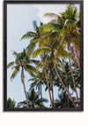 Een ingelijste foto van hoge palmbomen onder een heldere hemel, perfect als wanddecoratie. Het Palmbomen Met Heldere Lucht Schilderij van CollageDepot toont verschillende palmbomen met groene bladeren, en een klein deel van de blauwe lucht met een paar witte wolken is zichtbaar op de achtergrond. Het eenvoudige zwarte frame is voorzien van een magnetisch ophangsysteem voor eenvoudige weergave.,Zwart-Zonder,Lichtbruin-Zonder,showOne,Zonder