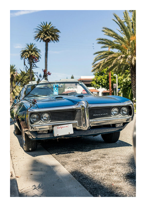 Een vintage zwarte CollageDepot aaa 014 - auto geparkeerd in een zonovergoten straat vol palmbomen. De auto heeft een gepolijste afwerking met een zichtbaar Californisch kenteken.-