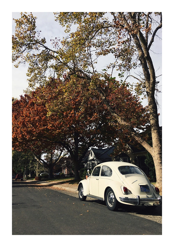 Een vintage witte CollageDepot aaa 020 geparkeerd onder een grote boom met herfstkleurige bladeren in een straat in een buitenwijk, met huizen zichtbaar op de achtergrond onder een bewolkte hemel.-