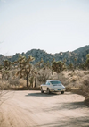Een vintage CollageDepot aaa 095 - auto geparkeerd op een zandwoestijnweg, omringd door Joshua-bomen en rotsachtig terrein onder een heldere hemel.-