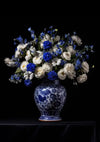 Een blauw-witte porseleinen vaas bevat een uitgebreid bloemstuk met witte rozen, blauwe anjers en andere blauwe en witte bloemen. De aab 338 Delfts blauw van CollageDepot staat tegen een effen zwarte achtergrond.-