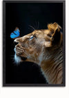 Een ingelijste foto, perfect als wanddecoratie, toont een close-up zijprofiel van een leeuwin met een blauwe vlinder op haar neus tegen een zwarte achtergrond. De leeuwin staart naar de vlinder, waardoor een opvallend en rustig tafereel ontstaat. Dit prachtige kunstwerk heet "The Queen Schilderij" van CollageDepot.,Zwart-Zonder,Lichtbruin-Zonder,showOne,Zonder