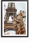 In A CollageDepot aaa 113 Exclusive staan twee giraffen dicht bij elkaar met de Eiffeltoren op de achtergrond, enigszins onscherp, waardoor een grillige mix van natuur en iconische architectuur ontstaat. Perfect om unieke charme toe te voegen aan elke ruimte.,Zwart-Met,Lichtbruin-Met,showOne,Met