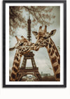 Een CollageDepot aaa 120 Exclusive toont twee giraffen die met elkaar communiceren voor de Eiffeltoren. De afbeelding heeft een sepiatint, waardoor deze een vintage uitstraling heeft. In het bovenste gedeelte van het beeld zijn kersenbloesemtakken te zien, wat bijdraagt aan de charme en elegantie van het tafereel.,Zwart-Met,Lichtbruin-Met,showOne,Met