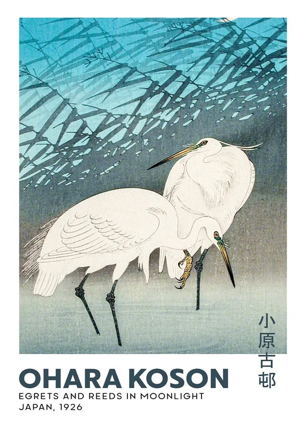 Een Japanse houtsnede met de titel "Reigers en riet in maanlicht", gemaakt door Ohara Koson in 1926. Het toont twee zilverreigers die tussen het riet staan met een blauwe maanverlichte hemel op de achtergrond. De tekst in de linkerbenedenhoek bevat de naam van de artiest en titelgegevens. Vind dit prachtige stuk als product aaa 006 - japans van CollageDepot.-