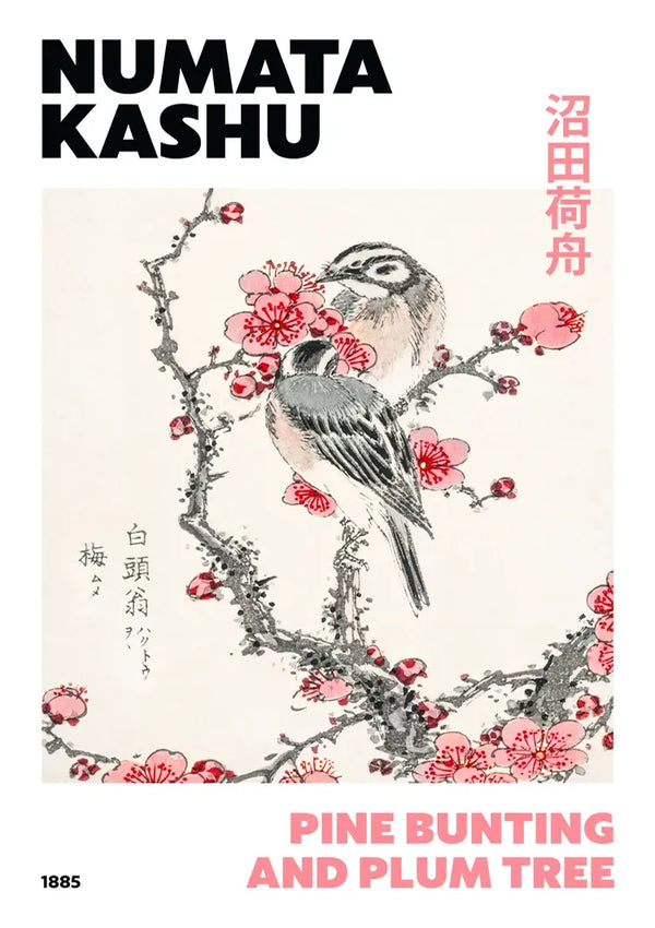 Een illustratie van Numata Kashu met de titel "aaa 023 - japans" van CollageDepot, met een vogel die op een bloeiende pruimenboomtak zit met rode en roze bloemen. Het kunstwerk dateert uit 1885. De namen zijn geschreven in het Engels en Japans, met de titel in het Engels onderaan.-