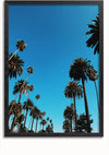 Een ingelijste foto van een helderblauwe lucht met hoge palmbomen die naar boven reiken. De bomen zijn gelijkmatig verdeeld, waardoor een symmetrisch en sereen tafereel ontstaat. Het frame is zwart en voegt een contrast toe aan de heldere lucht en de groene palmbladeren. Dit is de bbb 023 - natuur van CollageDepot.,Zwart-Zonder,Lichtbruin-Zonder,showOne,Zonder