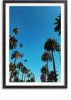 Een ingelijste foto waarop hoge palmbomen te zien zijn tegen een helderblauwe lucht. De bomen staan gelijkmatig verdeeld, waardoor een serene en tropische sfeer ontstaat. Dit prachtige Schilderij Hoge Palmbomen van CollageDepot is voorzien van een handig magnetisch ophangsysteem voor eenvoudige weergave.,Zwart-Met,Lichtbruin-Met,showOne,Met