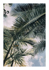 Uitzicht vanaf de onderkant op hoge palmbomen met grote bladeren die zich naar de hemel uitstrekken en een deel van de blauwe lucht en witte wolken gedeeltelijk aan het zicht onttrekken. De bladeren van de palmbomen zijn scherp in beeld, waardoor er een natuurlijk bladerdak boven je hoofd ontstaat, bijna als een levend CollageDepot Palmboom Bladeren Schilderij tegen de azuurblauwe achtergrond.-