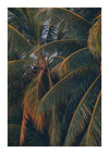 Close-up van palmbladeren die elkaar overlappen met een mix van donkergroene en levendige oranje tinten. De compositie is compact en geeft de texturen en patronen van de bladeren weer, perfect voor een Ingezoomd Op De Palmboom Schilderij van CollageDepot als unieke wanddecoratie.-