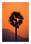 Een Shining through-schilderij toont een silhouet van een palmboom, gecentreerd tegen een levendig oranje zonsondergang, waarbij de zon gedeeltelijk zichtbaar is door de bladeren van de boom. Op de achtergrond gaat een bergketen over in de horizon. Deze prachtige wanddecoratie van CollageDepot is perfect voor elke kamer en wordt geleverd met een handig magnetisch ophangsysteem.