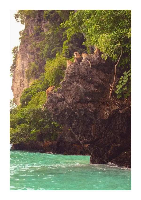 Een groep apen zit op een rots bedekt met groen gebladerte, met uitzicht op turquoise water. De klif rijst steil op vanaf de waterkant en is weelderig met vegetatie, waardoor een scène ontstaat die doet denken aan een CollageDepot De Groene Natuur Schilderij dat moeiteloos aan je muur hangt met een magnetisch ophangsysteem.-