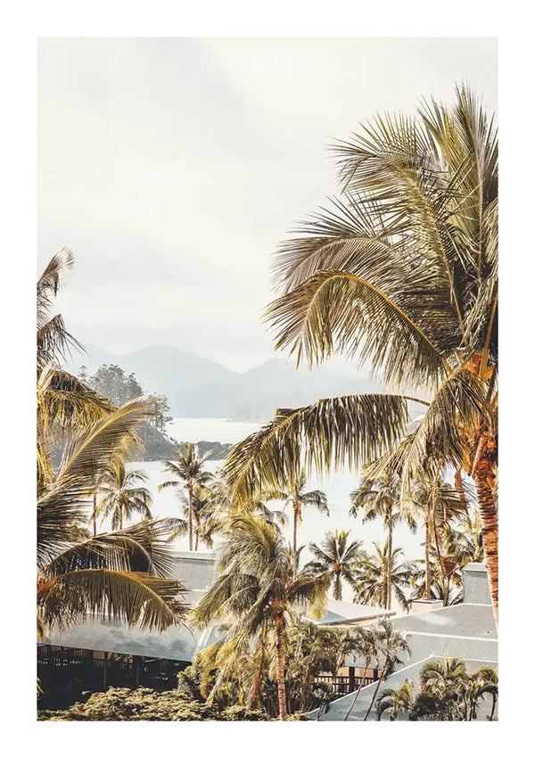 Een sereen uitzicht op een tropisch resort, met hoge palmbomen op de voorgrond met mistige bergen en een kalme zee in de verte onder een zachte, bewolkte hemel met cc 083 - natuur van CollageDepot.-