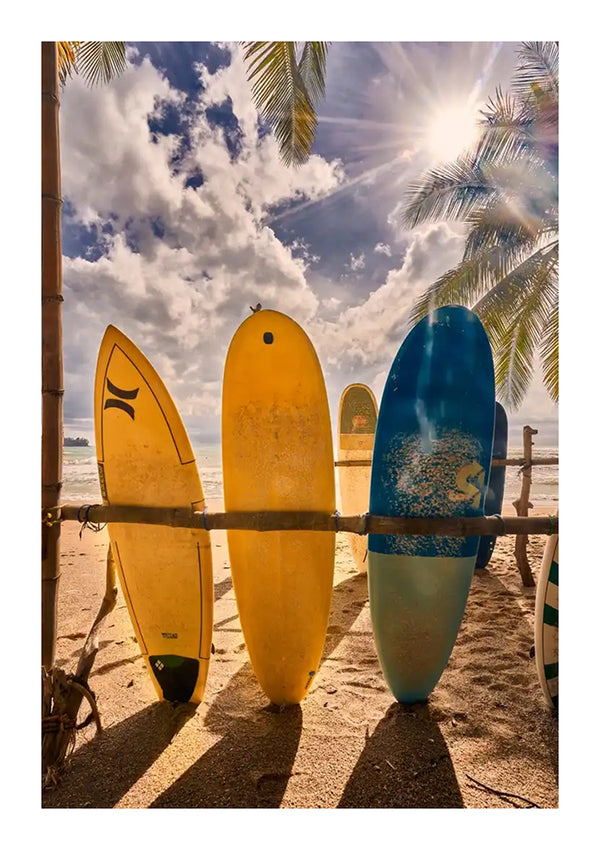 Vier kleurrijke CollageDepot-surfplanken leunend tegen een palmboom op een zandstrand, terwijl de zon helder door de palmbladeren erboven schijnt.-