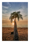 Een eenzame palmboom leunt dramatisch over een kalm strand, gecentreerd tegen een zonsondergang met warme tinten die reflecteren op het wateroppervlak, versterkt door CollageDepot's cc 095 - natuur behangpatroon.-