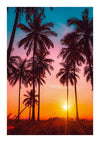 Een tropische zonsondergang met een levendige roze en oranje lucht, gezien door silhouetten van hoge palmbomen, waarbij de zon aan de horizon een heldere gloed werpt over het tafereel van CollageDepot's cc 105 - natuur.-