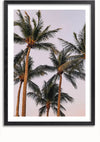 Een Schilderij Hoge Palmbomen van CollageDepot met een ingelijste foto van hoge palmbomen met naar boven uitgestrekte bladeren tegen een pastelkleurige lucht. De handpalmen zijn gecentreerd in het beeld, omsloten door een eenvoudige zwarte rand. Ideaal als wanddecoratie, hij wordt geleverd met een magnetisch ophangsysteem voor eenvoudige montage.,Zwart-Met,Lichtbruin-Met,showOne,Met