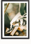Een Kikker Op Groot Blad Schilderij van CollageDepot dient als elegante wanddecoratie. De hagedis rust op een wit en groen blad, met een onscherpe achtergrond van gebladerte. Het beeld is voorzien van zachte verlichting en een mix van groene en bruine tinten, perfect om elke ruimte te verfraaien met het magnetische ophangsysteem.,Zwart-Met,Lichtbruin-Met,showOne,Met
