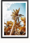 Een ingelijste foto, perfect als wanddecoratie, toont hoge palmbomen met gele bladeren tegen een achtergrond van een gedeeltelijk bewolkte lucht en een lichtblauw kleurverloop. De palmbomen domineren de compositie, waarbij hun stammen en bladeren een gevoel van diepte en tropische sfeer creëren. Het Onderaanzicht Prachtige Palmbomen Schilderij van CollageDepot is eenvoudig te monteren met een magnetisch ophangsysteem.,Zwart-Met,Lichtbruin-Met,showOne,Met